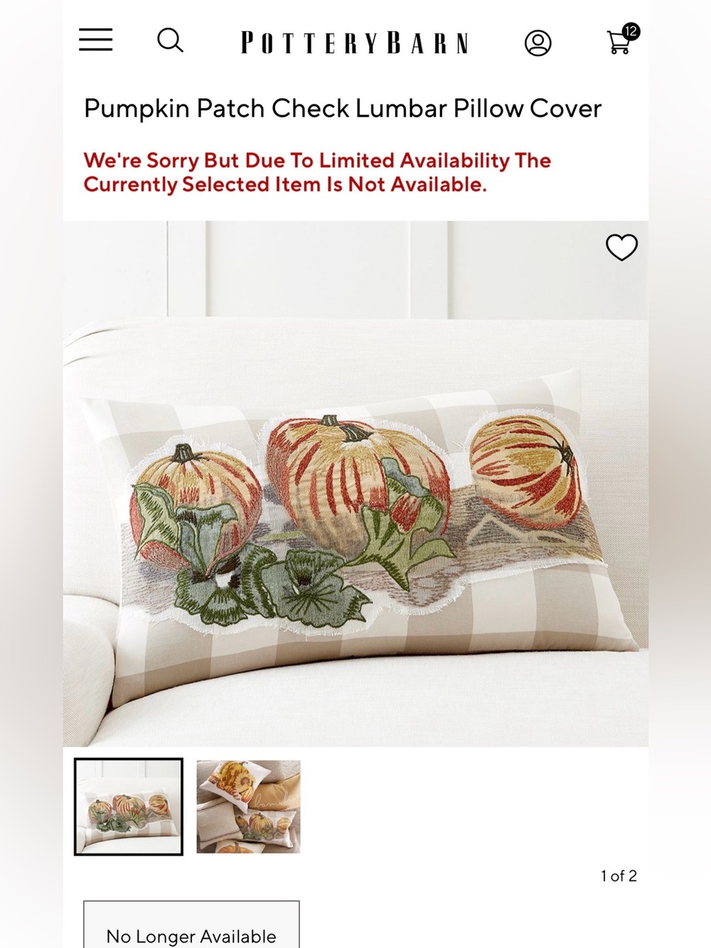 New Pottery Barn Fall/Thanksgiving Pumpkin Patch Check Lumbar Pillow Cover